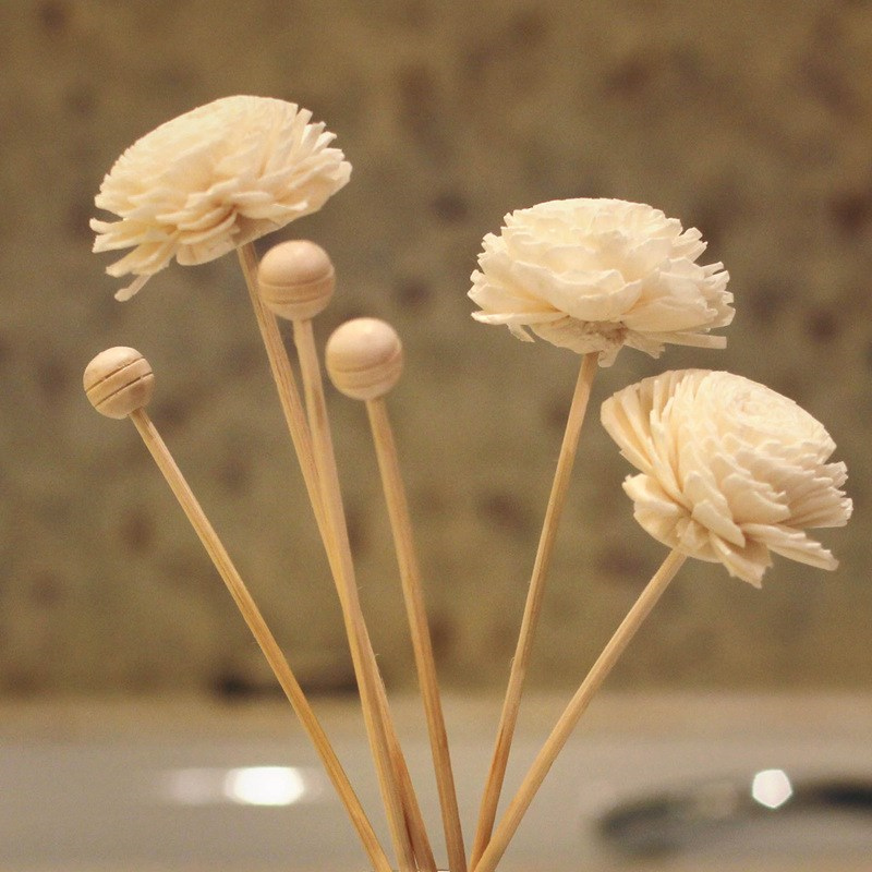 Aroma Reed Diffuser Rattan Sticks With Wood bead diffuser  (5)