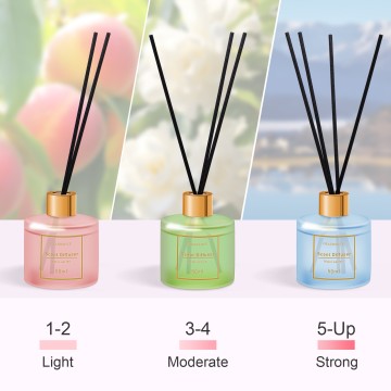 Reed Diffuser Set Household Aromatherapy Decor wit...