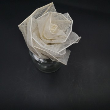  Multi-Color Natural Dried Flowers and Skeleton Le...