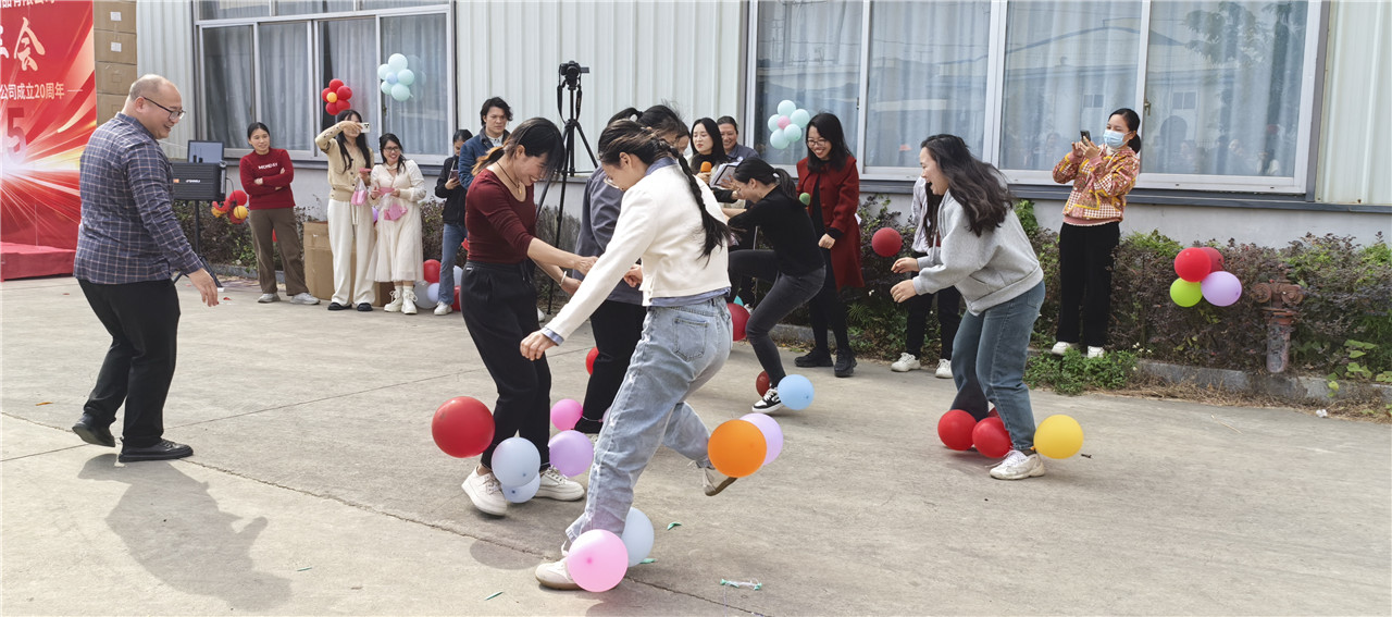 Company annual summary meeting (2)